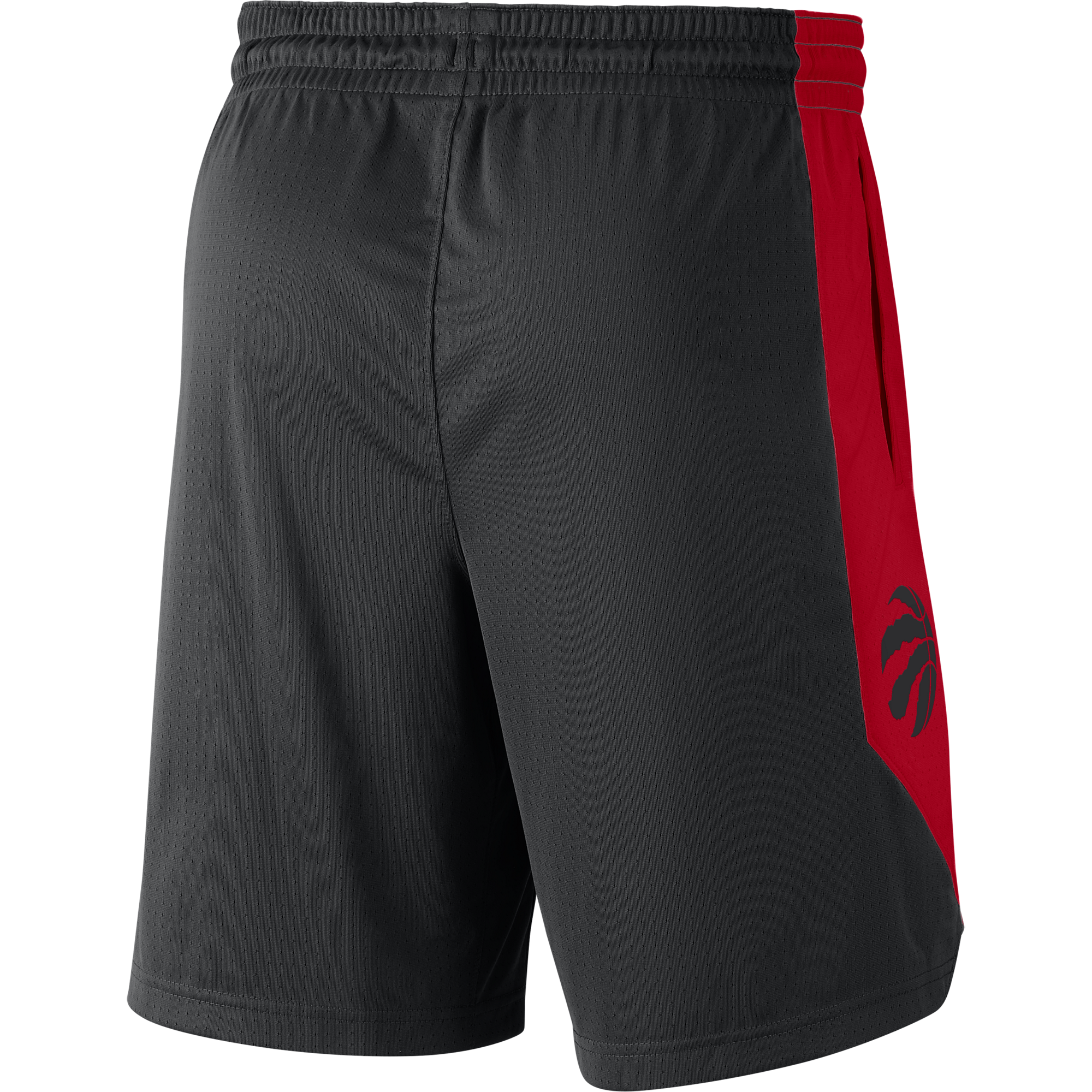 raptors practice shorts